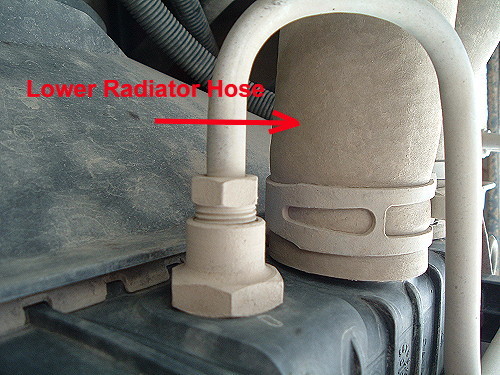 lower radiator hose