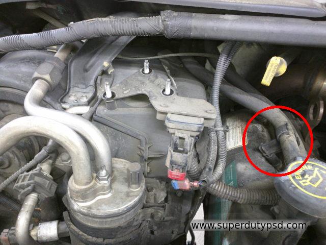 coolant hoses and clips